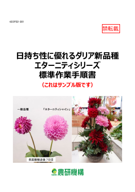 SOP・開発成果資料サンプル版閲覧ページ