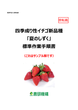 SOP・開発成果資料サンプル版閲覧ページ